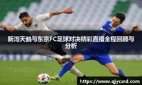 辉达娱乐